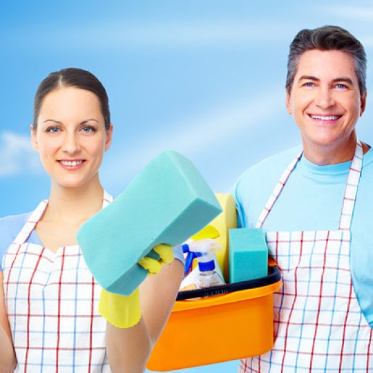 BUILDING CLEANING SERVICES LICENSE